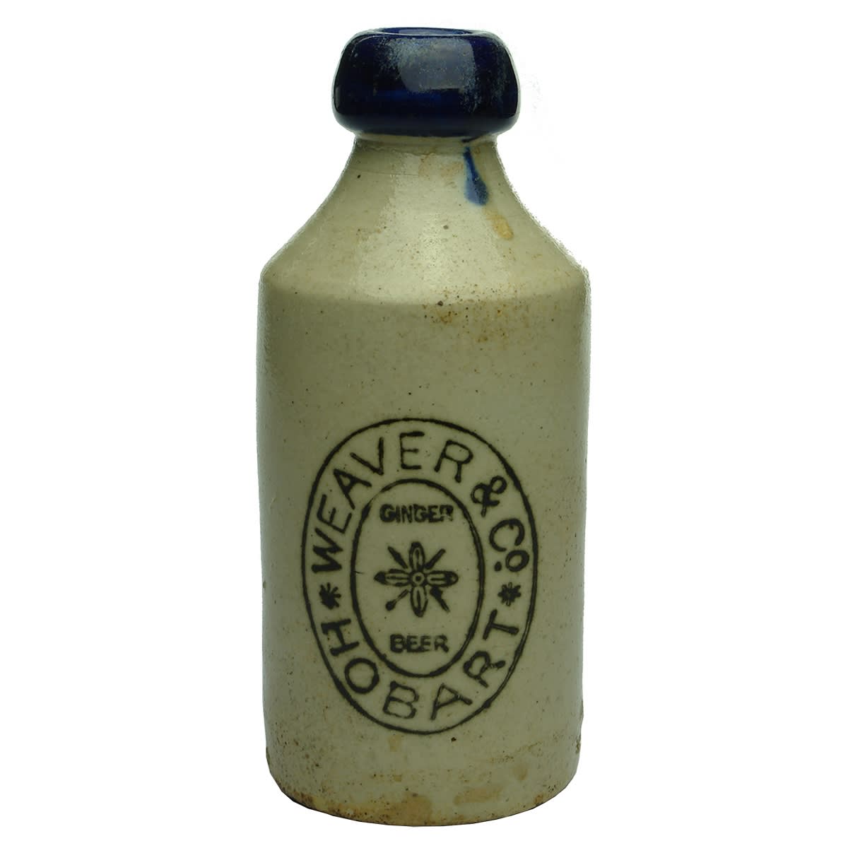 Ginger Beer. Weaver & Co, Hobart. Dump. Blue Lip. 10 oz. Pinnacle Brand. (Tasmania)