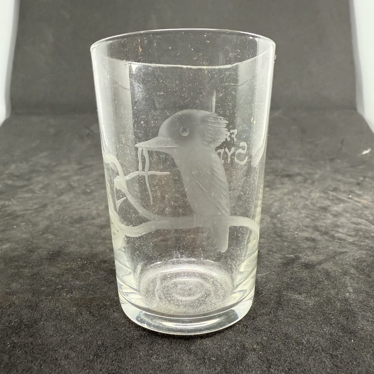 Etched Souvenir Glass. From Sydney. Kookaburra on a Branch with a Snake in its beak.