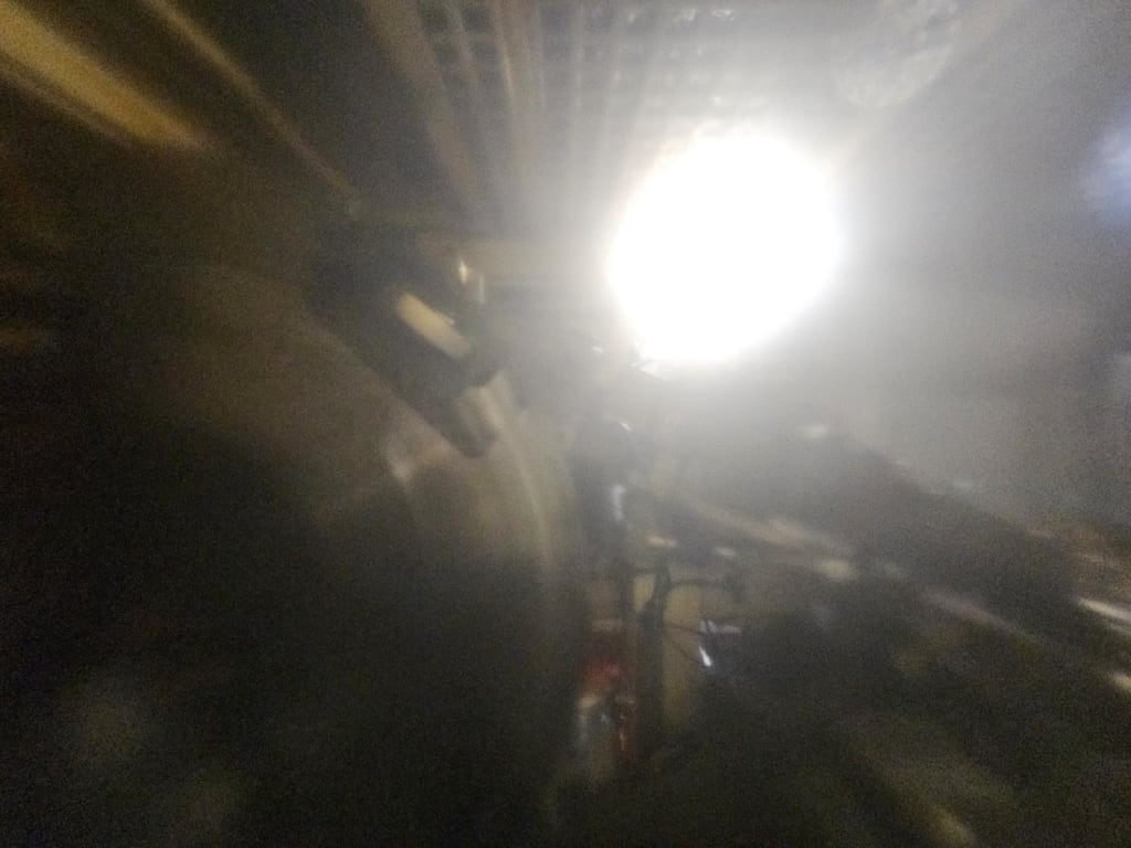 2830065_08.JPG