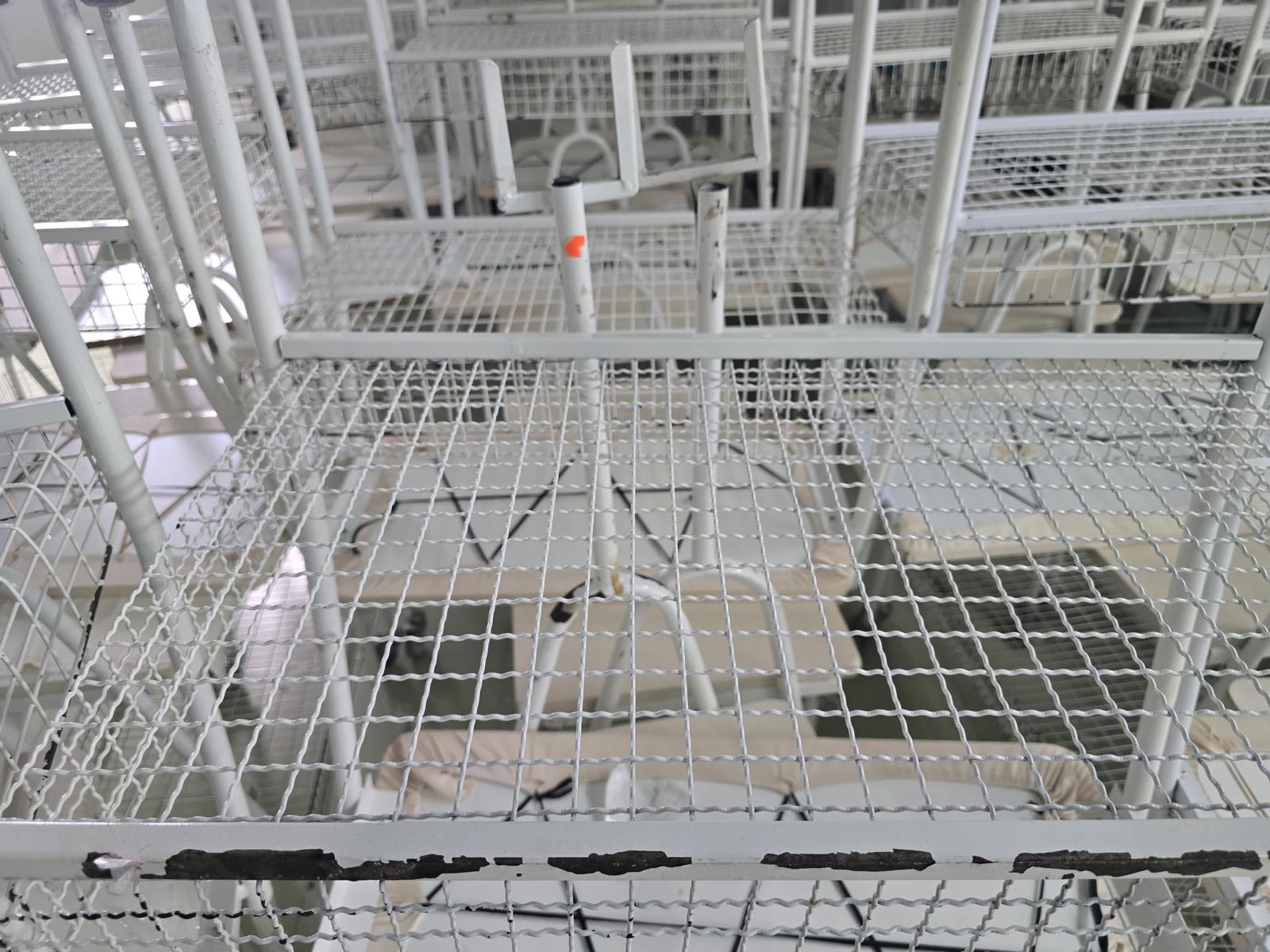 8030547_05.jpg