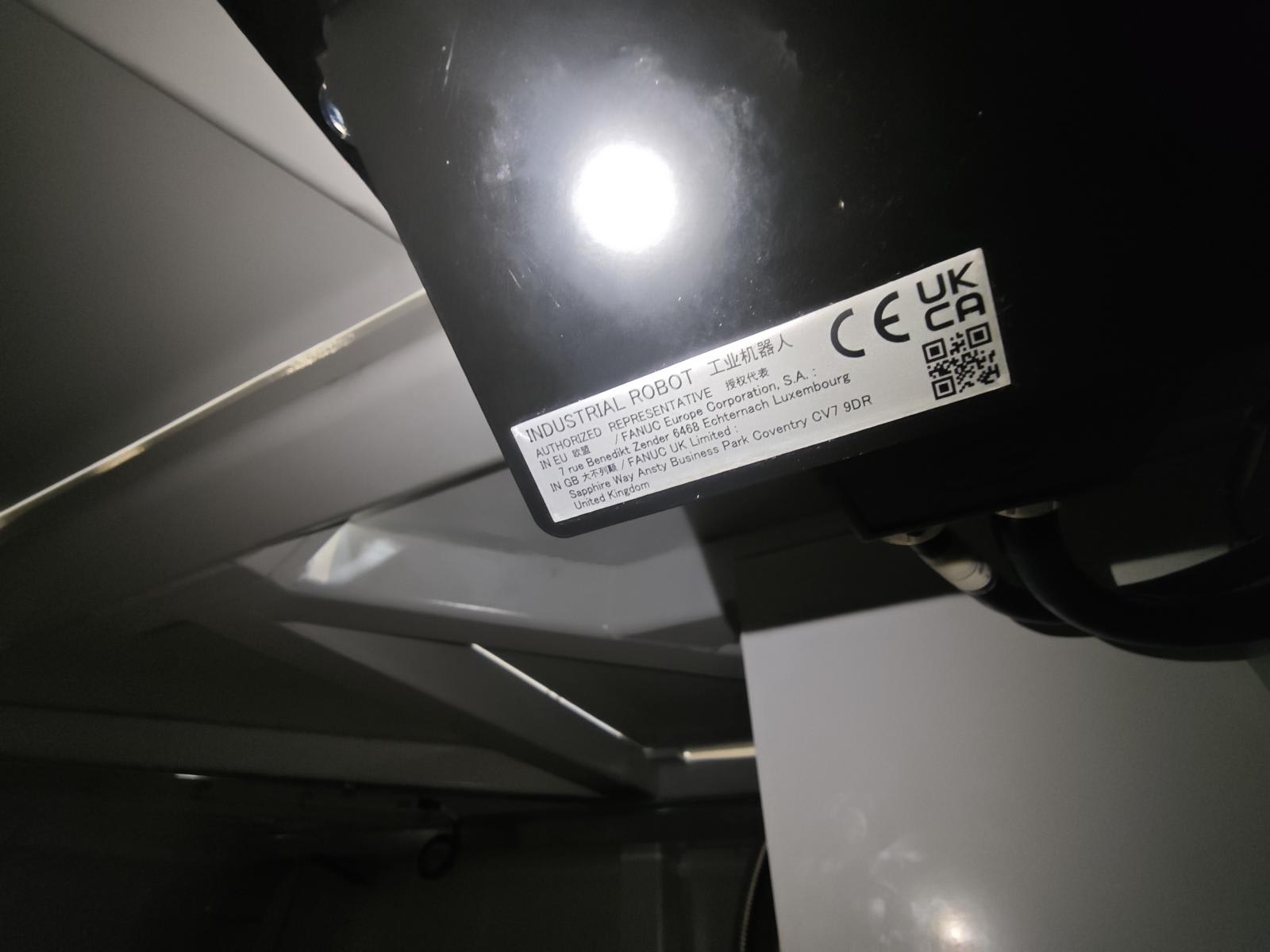 3010088_13.jpg