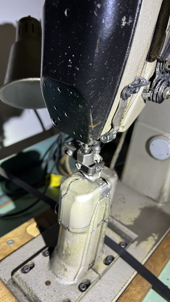 IMG_3371.jpg