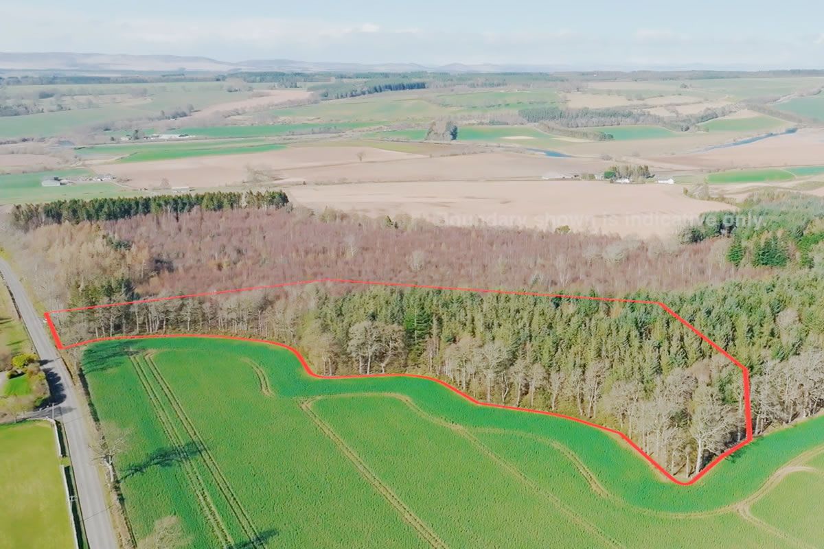 8.4 Acres at Muirwood East, Dunning, Perthshire
