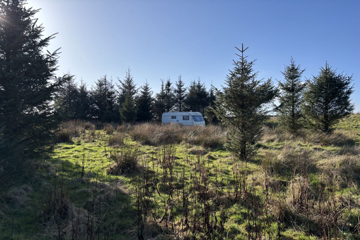Land at Craigview Wood, Glenlochar, Dumfries and Galloway