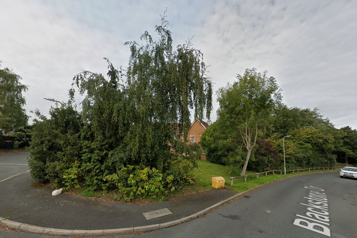 Area at Blackstone Drive, St Georges, Telford, Shropshire