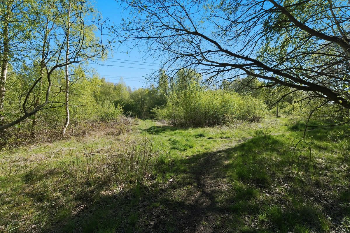 24.5 Acre Site at Roman Camp, Broxburn, West Lothian
