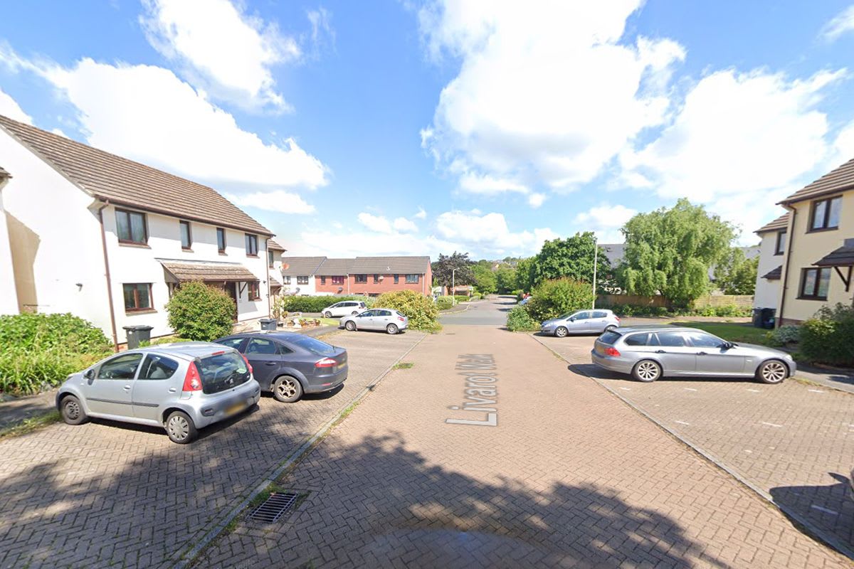 2x Plots, Devon