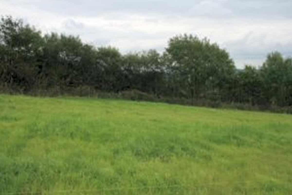 Plot A4 Hollacombe, Holsworthy, Clawton, Devon