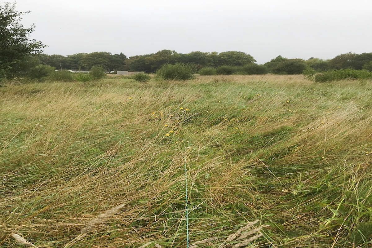 Plot 29b Riverside Walk, Annington Farm, Bramber, Steyning, West Sussex