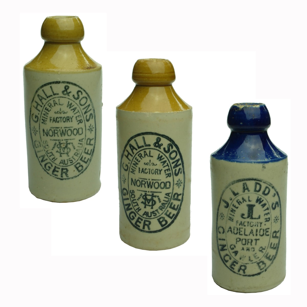 3 Ginger Beers: 2 x G. Hall & Sons, Norwood; J. Ladd's, Adelaide, Port and Gawler. (South Australia)