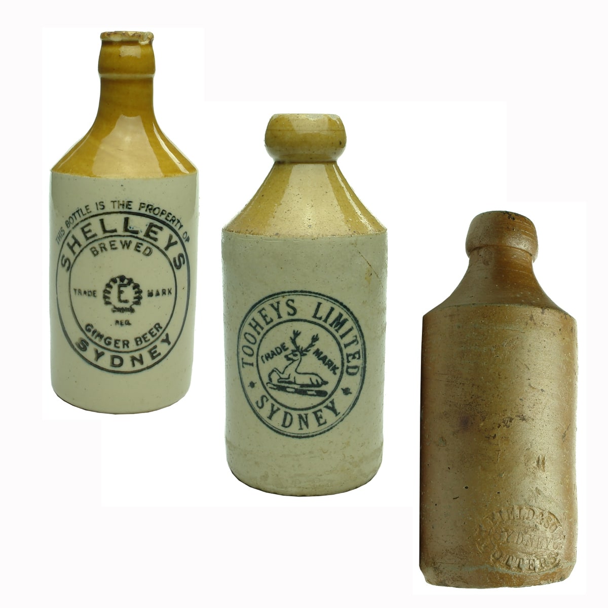 3 Sydney Ginger Beers: Shelleys; Tooheys Limited; T. Field & Sons, Potters. (New South Wales)