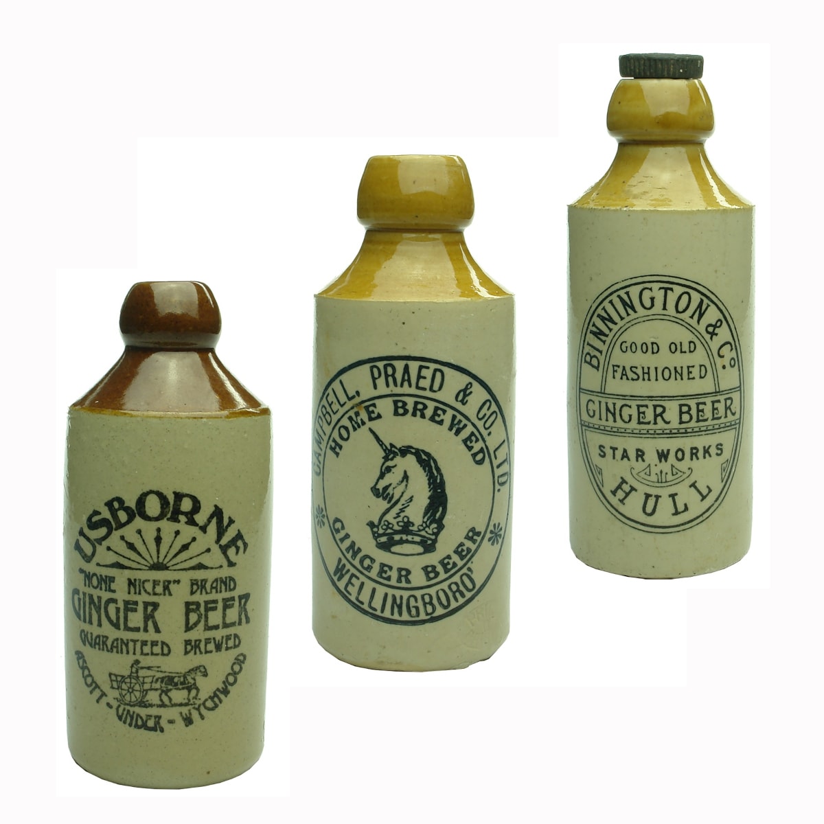 3 UK Ginger Beers: Usborne, Ascott-under-Wychwood; Campbell, Praed & Co. Ltd., Wellingboro'; Binnington & Co., Hull.