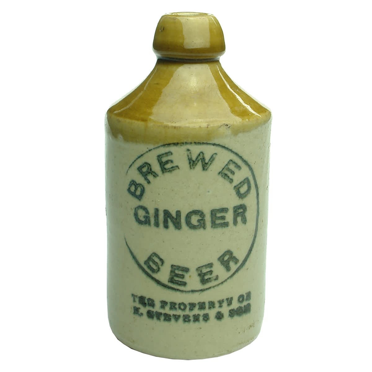 Ginger Beer. E. Stevens & Son. Dump. Tan Top. (South Australia?)
