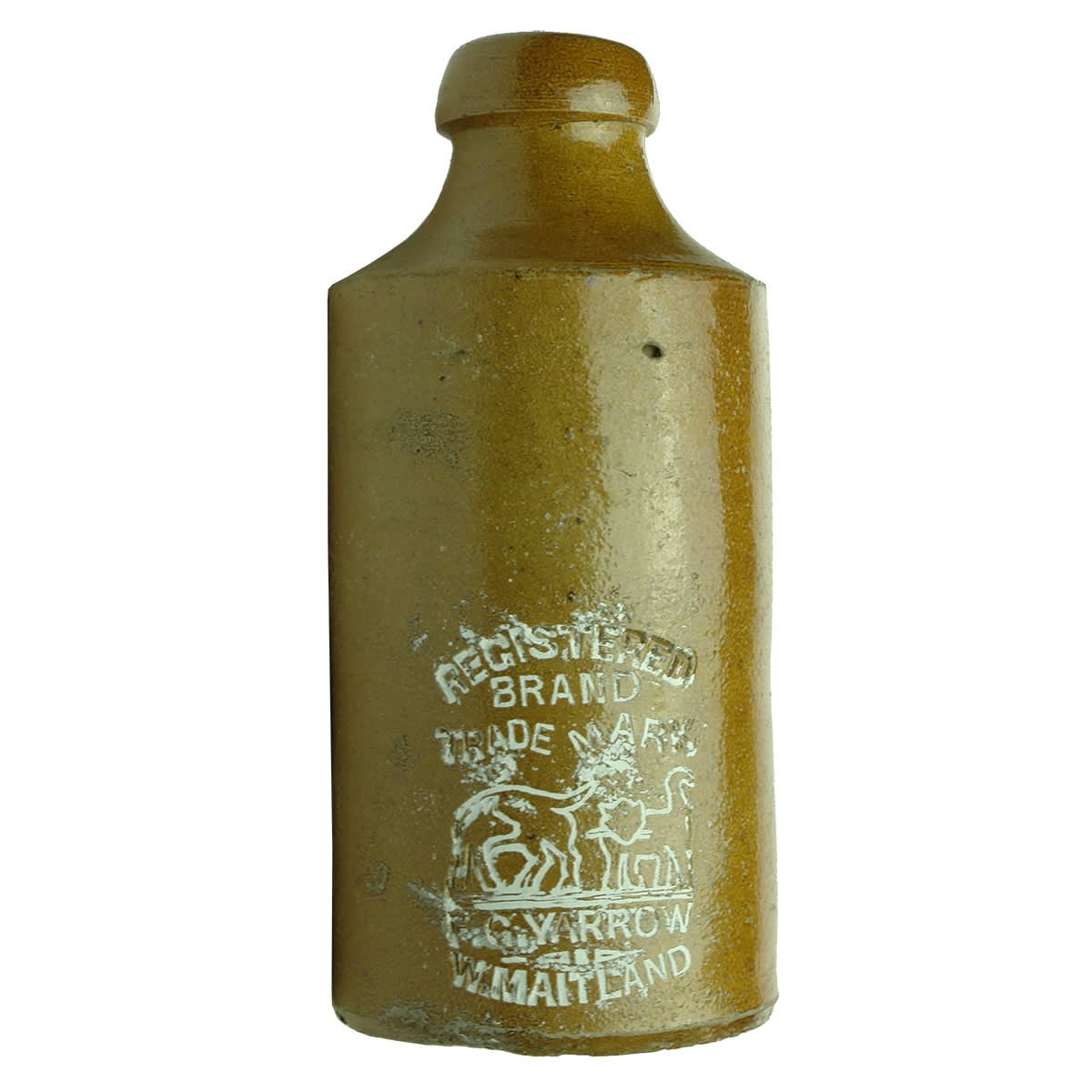 Impressed Ginger Beer. F. G. Yarrow, West Maitland. Dog & Cat. (New South Wales)