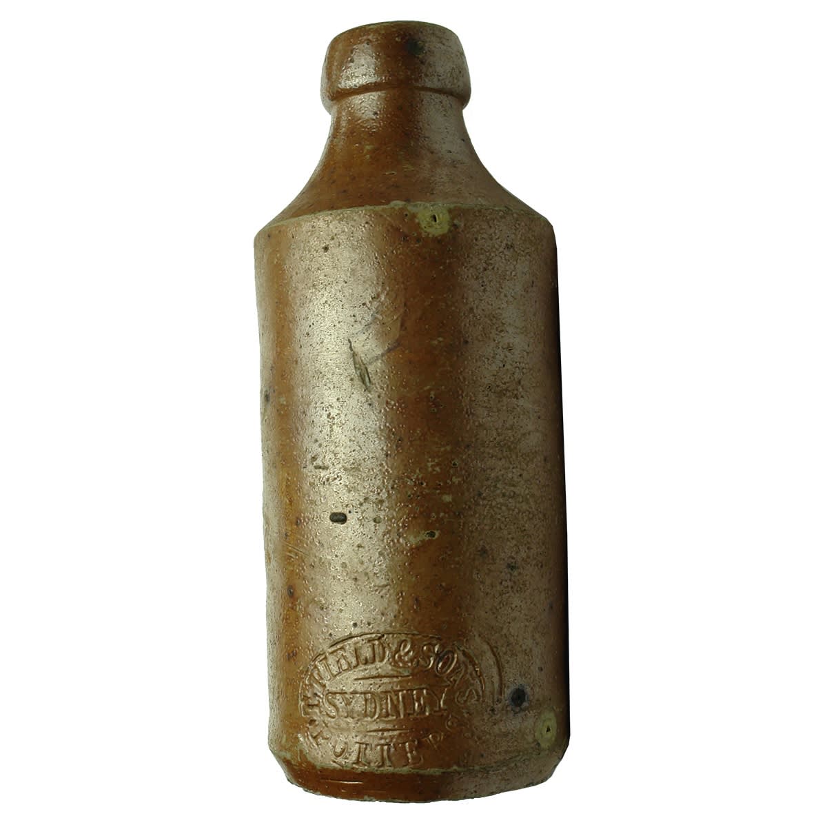 Impressed Ginger Beer. T. Field & Sons, Sydney, Potters. (New South Wales)