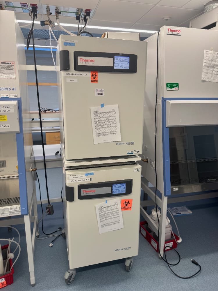 Thermo HERAcell vios 160i Double Stack CO2 Incubator