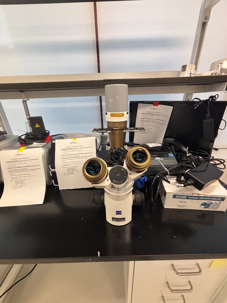 Zeiss Primovert Inverted Microscope
