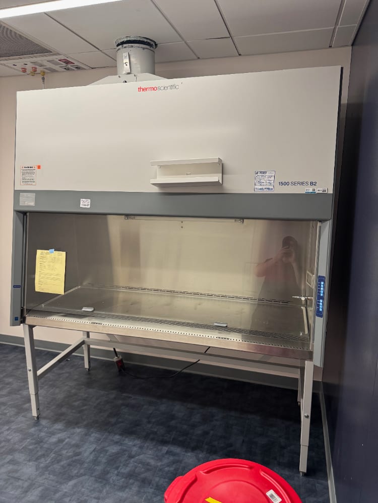 Thermo 1500 Series B2 6' BioSafety Cabinet