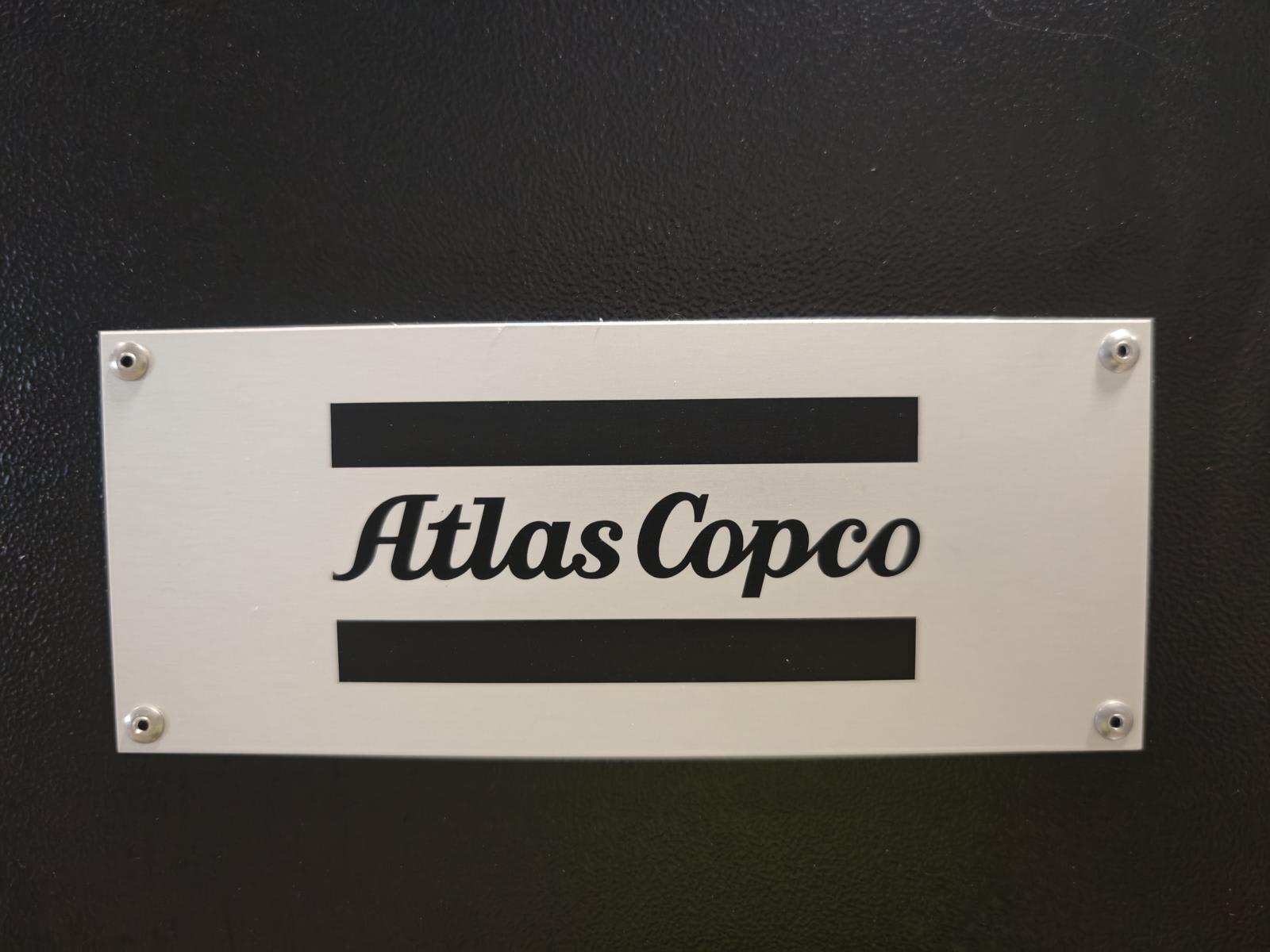 3010058_08.jpg