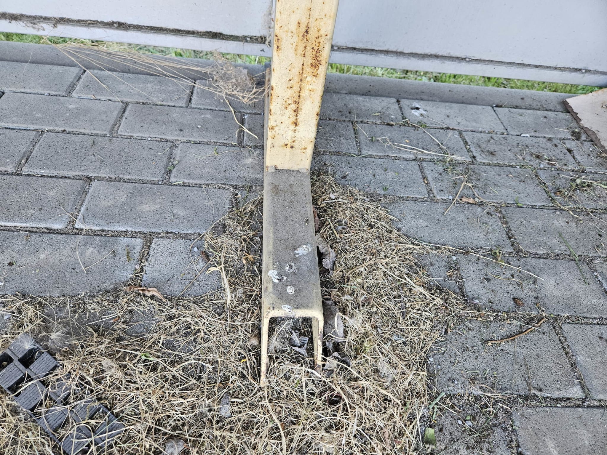 3090157_04.jpg
