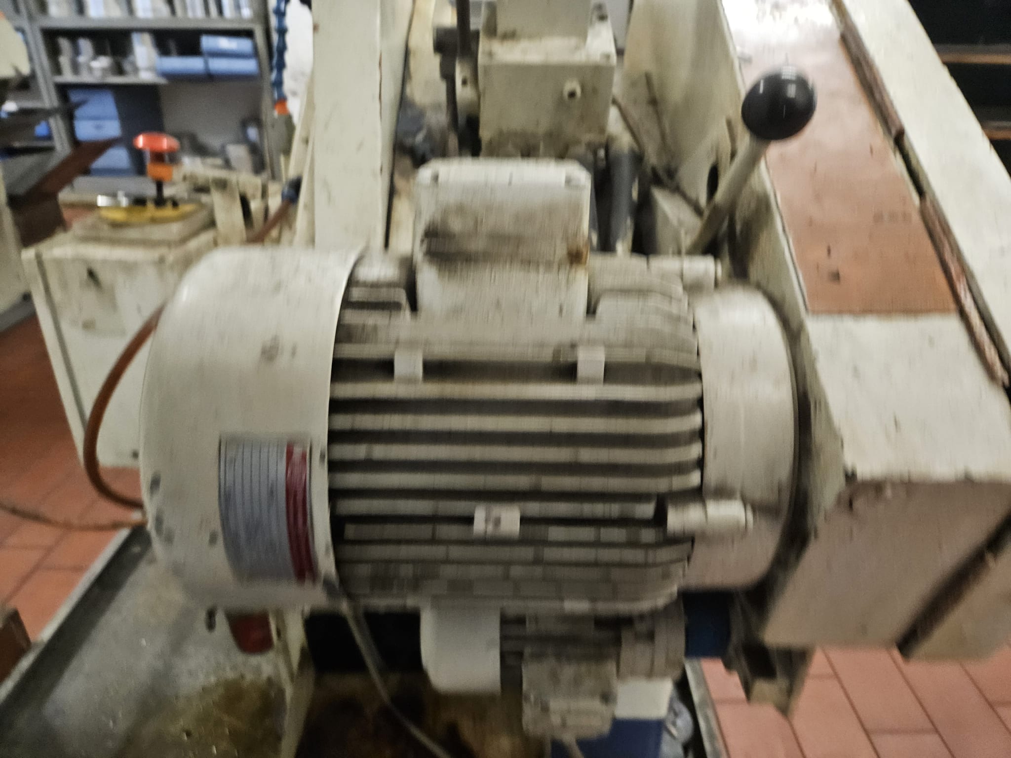 3090180_12.jpg