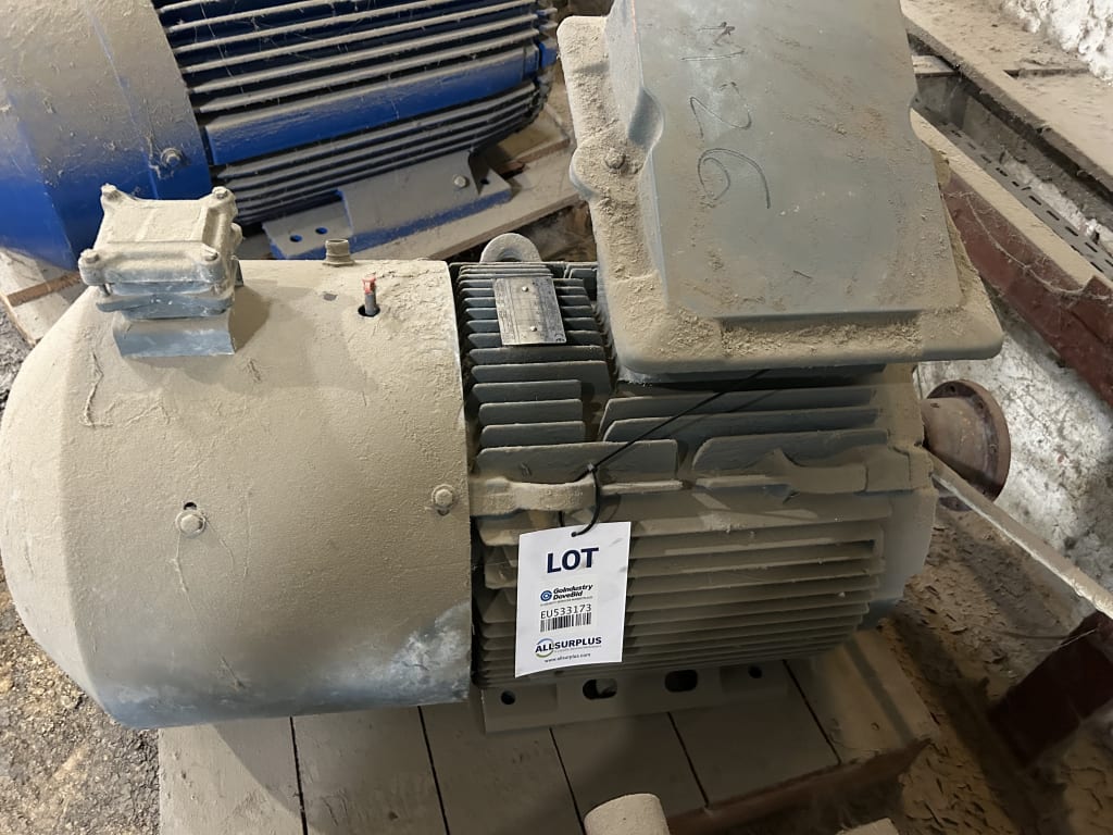 EU533173_1.jpg