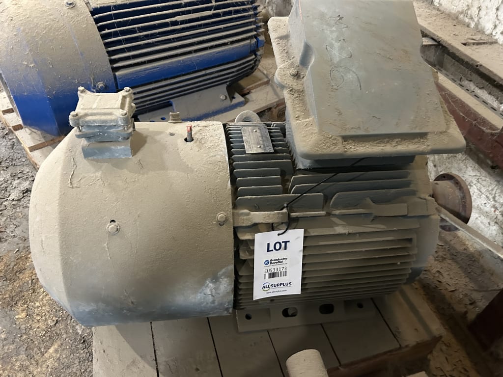 EU533173_2.jpg