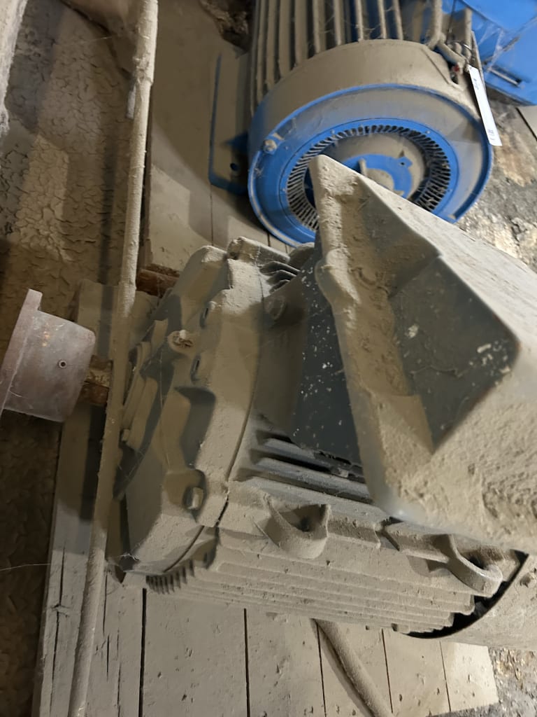EU533173_5.jpg