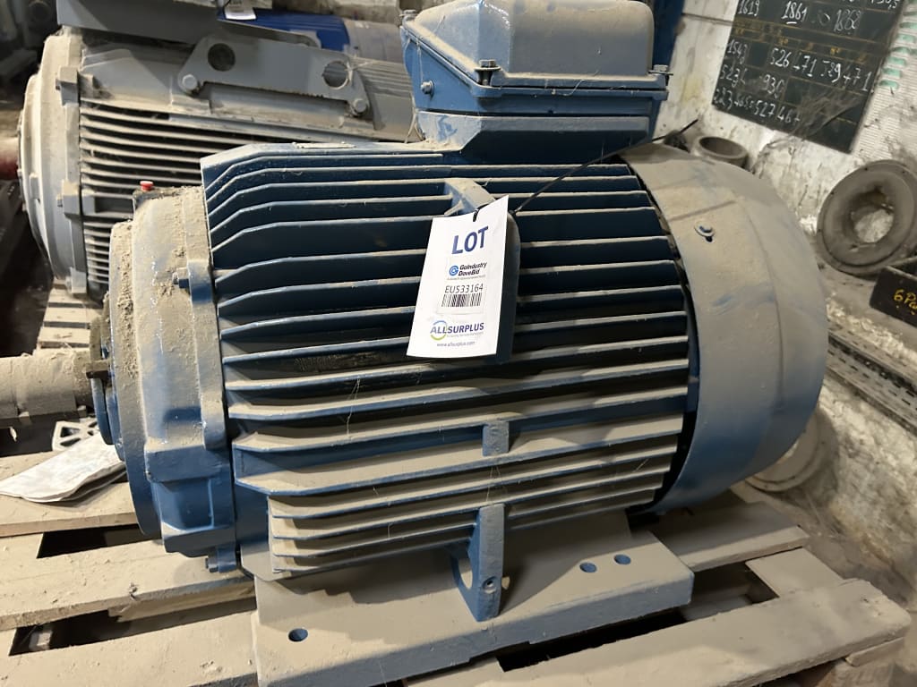 EU533164_2.jpg