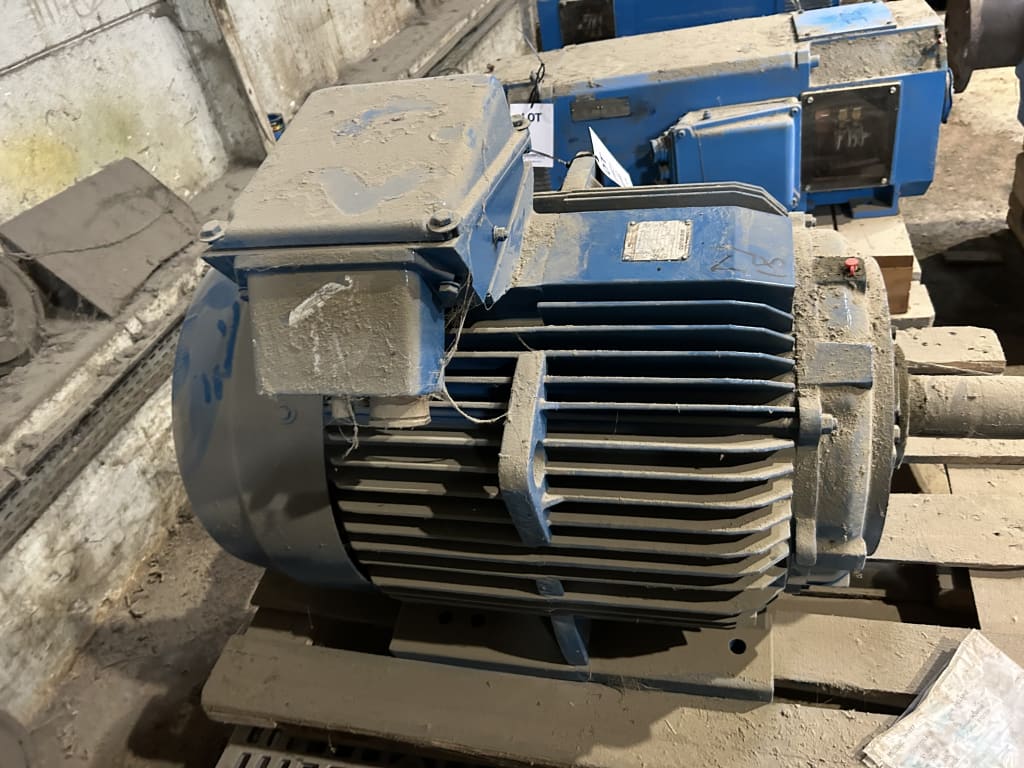 EU533164_5.jpg