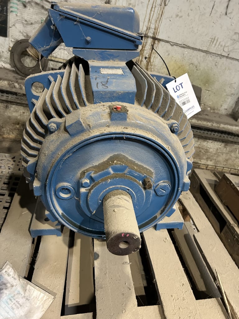EU533164_6.jpg