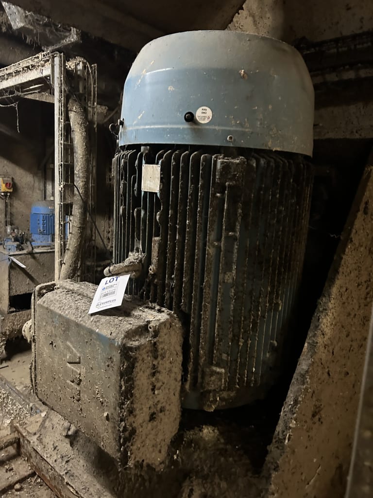EU533125_2.jpg