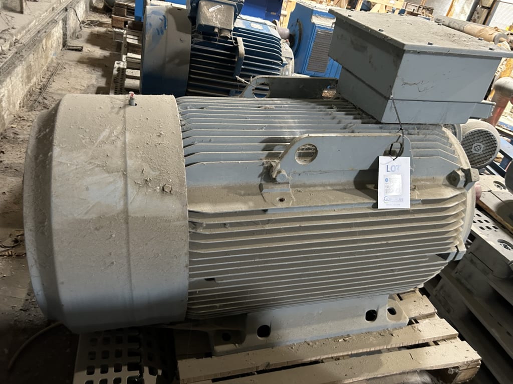 EU533158_2.jpg