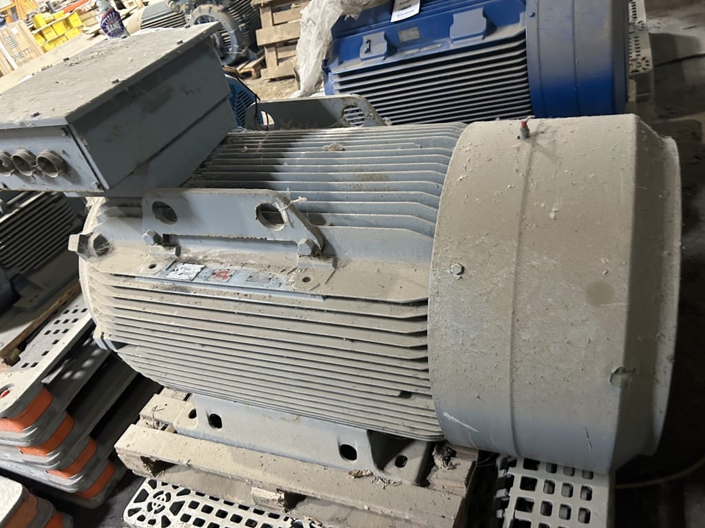 EU533158_4.jpg