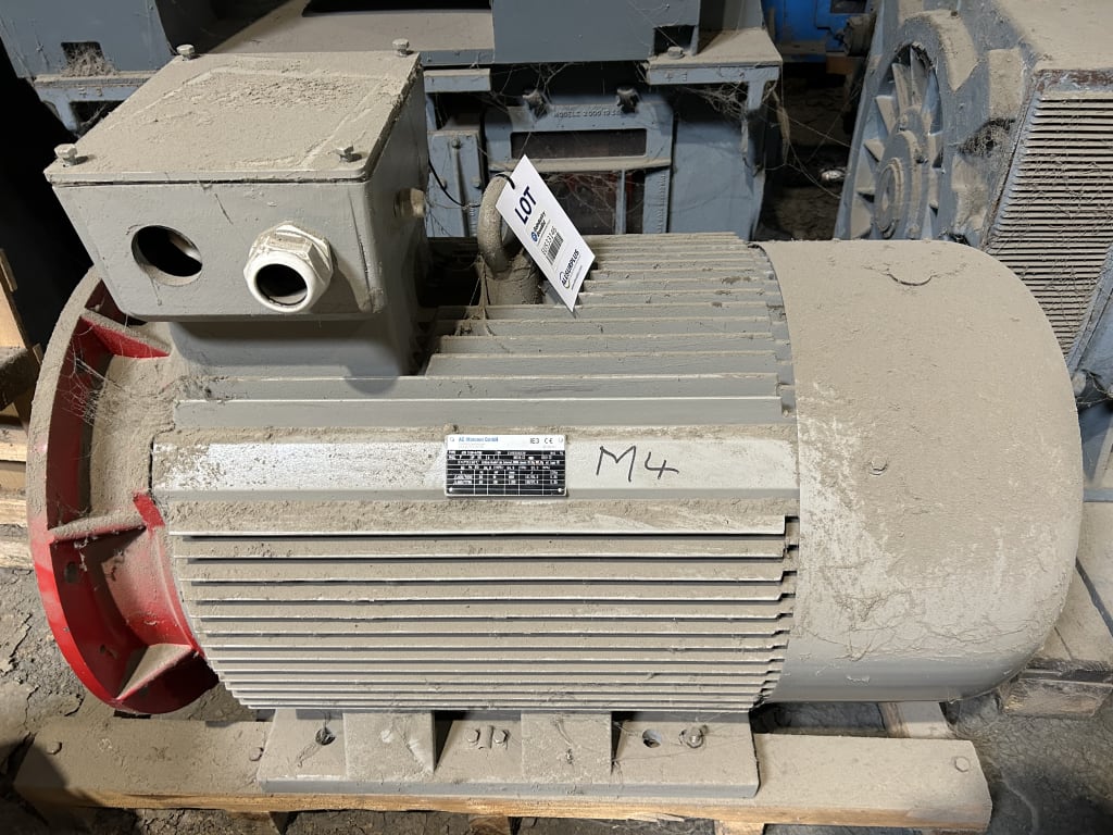 EU533146_1.jpg