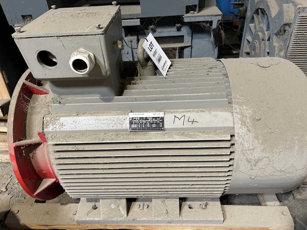 EU533146_2.jpg