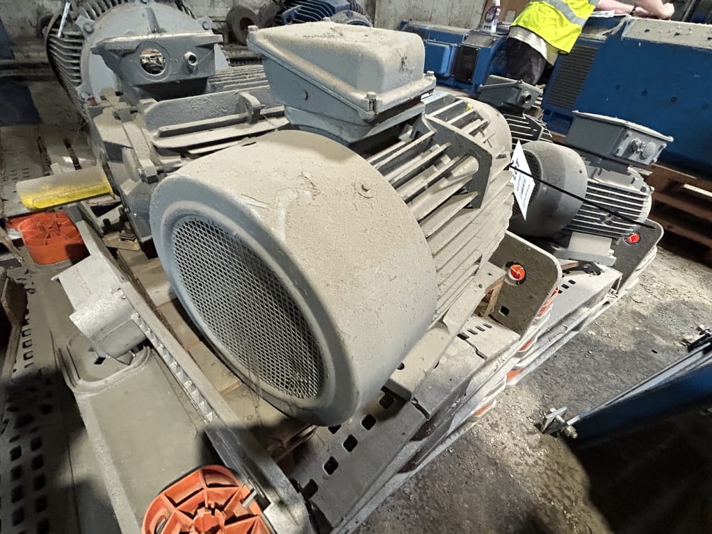 EU533160_5.jpg