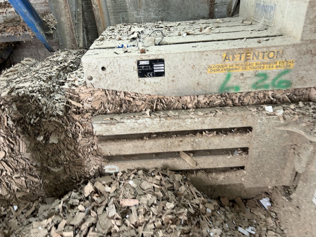 EU533138_4.jpg