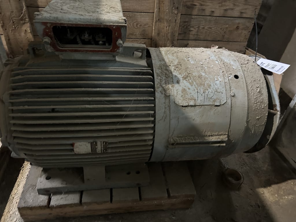 EU533150_3.jpg