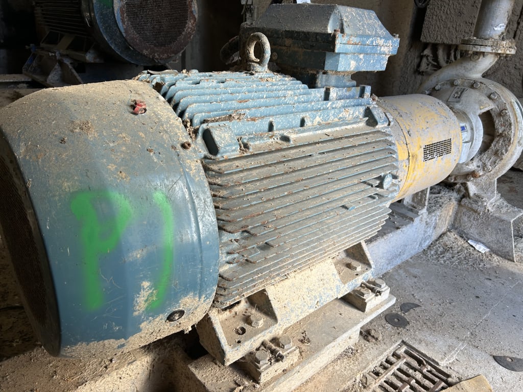 EU533099_3.jpg
