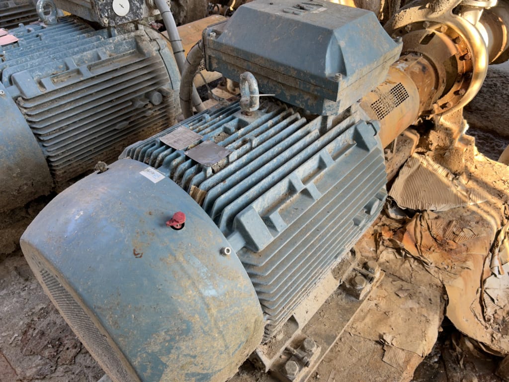 EU533097_22.jpg