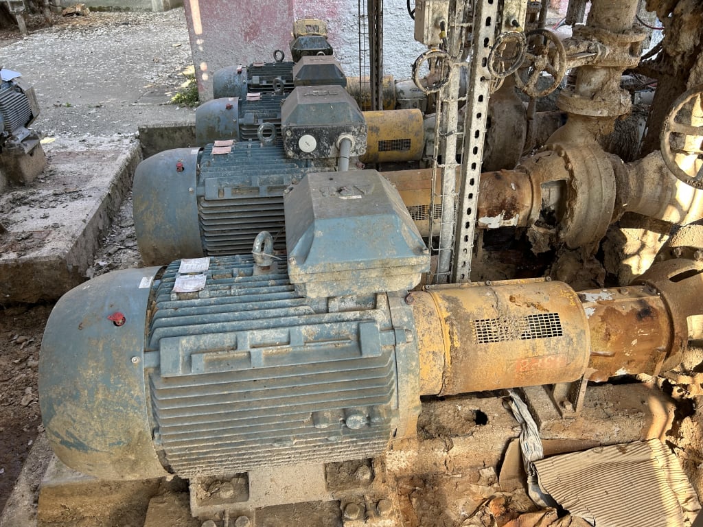 EU533097_20.jpg