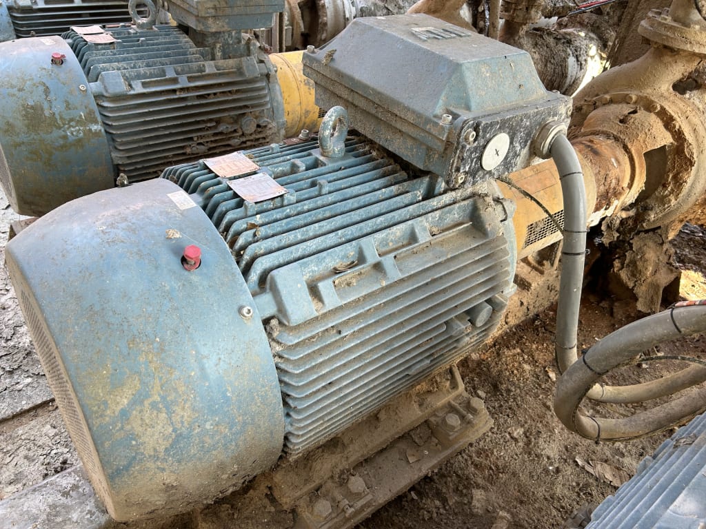 EU533097_25.jpg