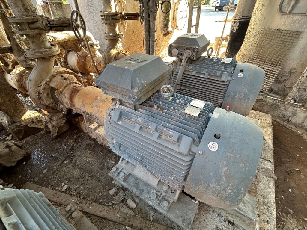 EU533097_28.jpg