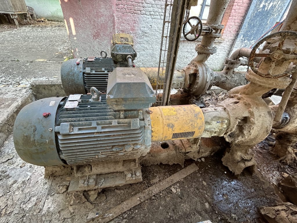 EU533097_30.jpg