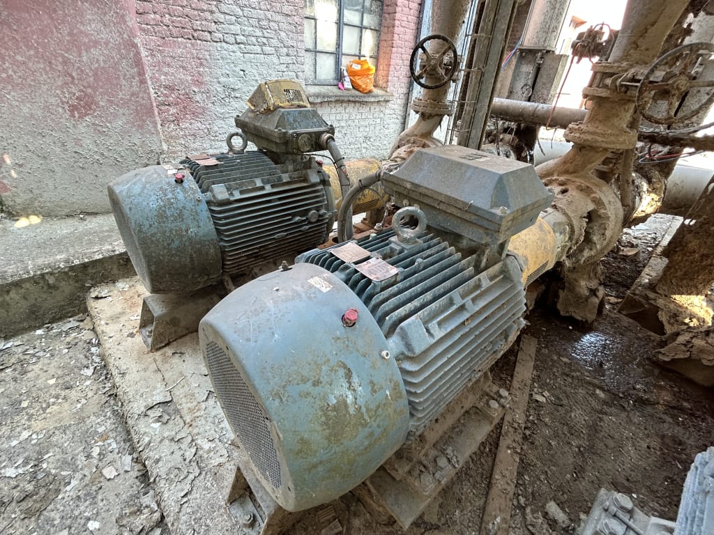 EU533097_31.jpg