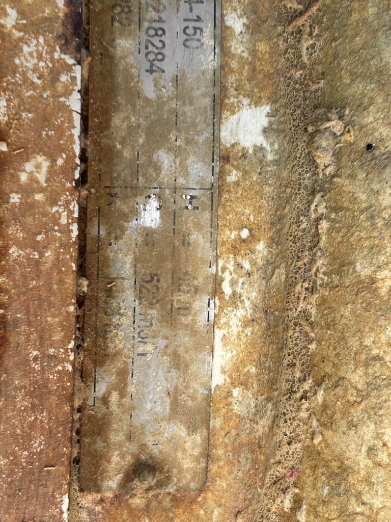 EU533097_46.jpg