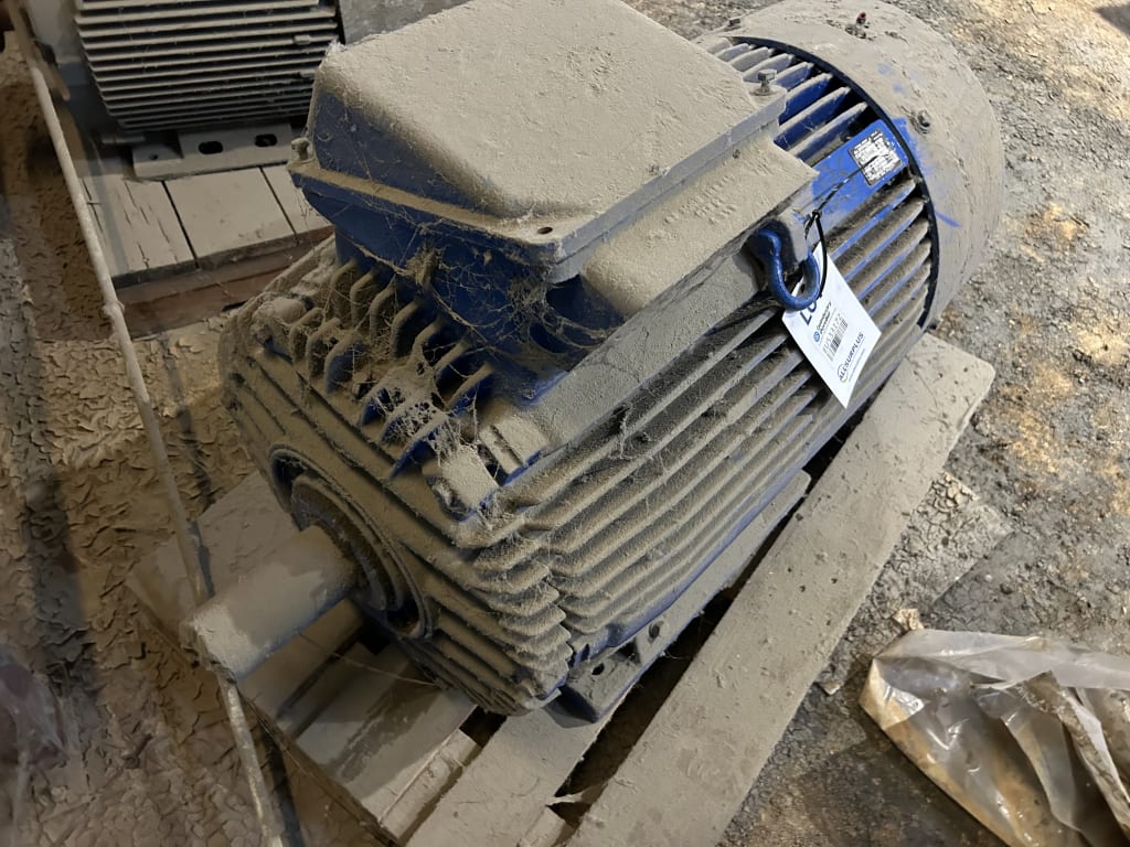 EU533172_5.jpg