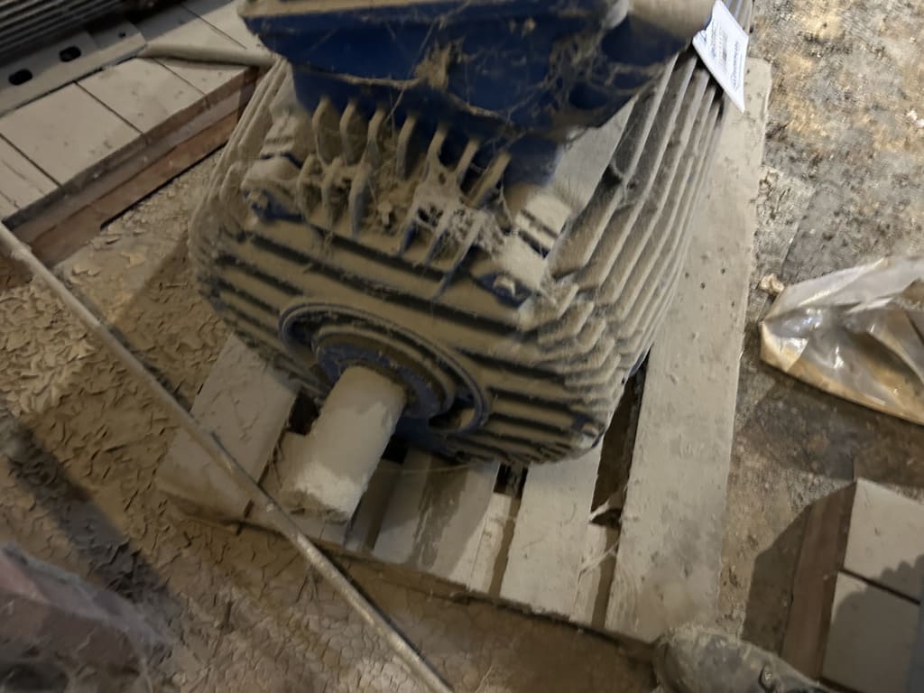 EU533172_6.jpg