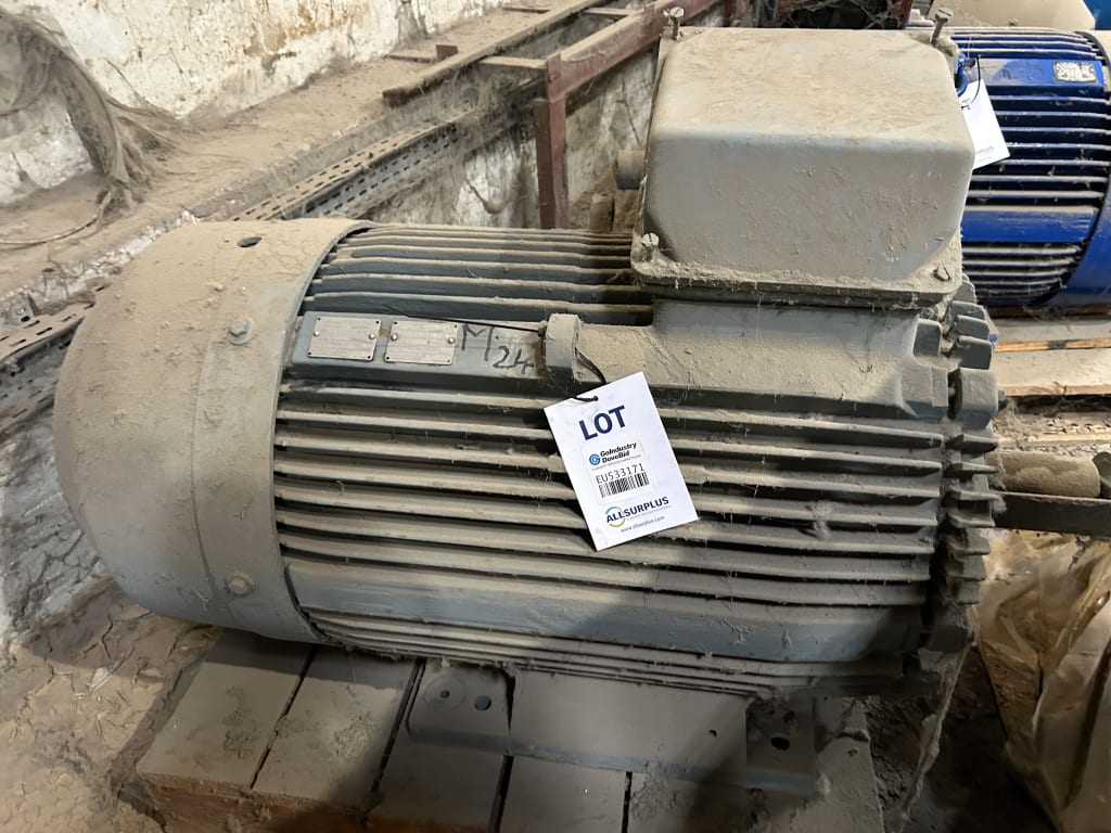 EU533171_1.jpg